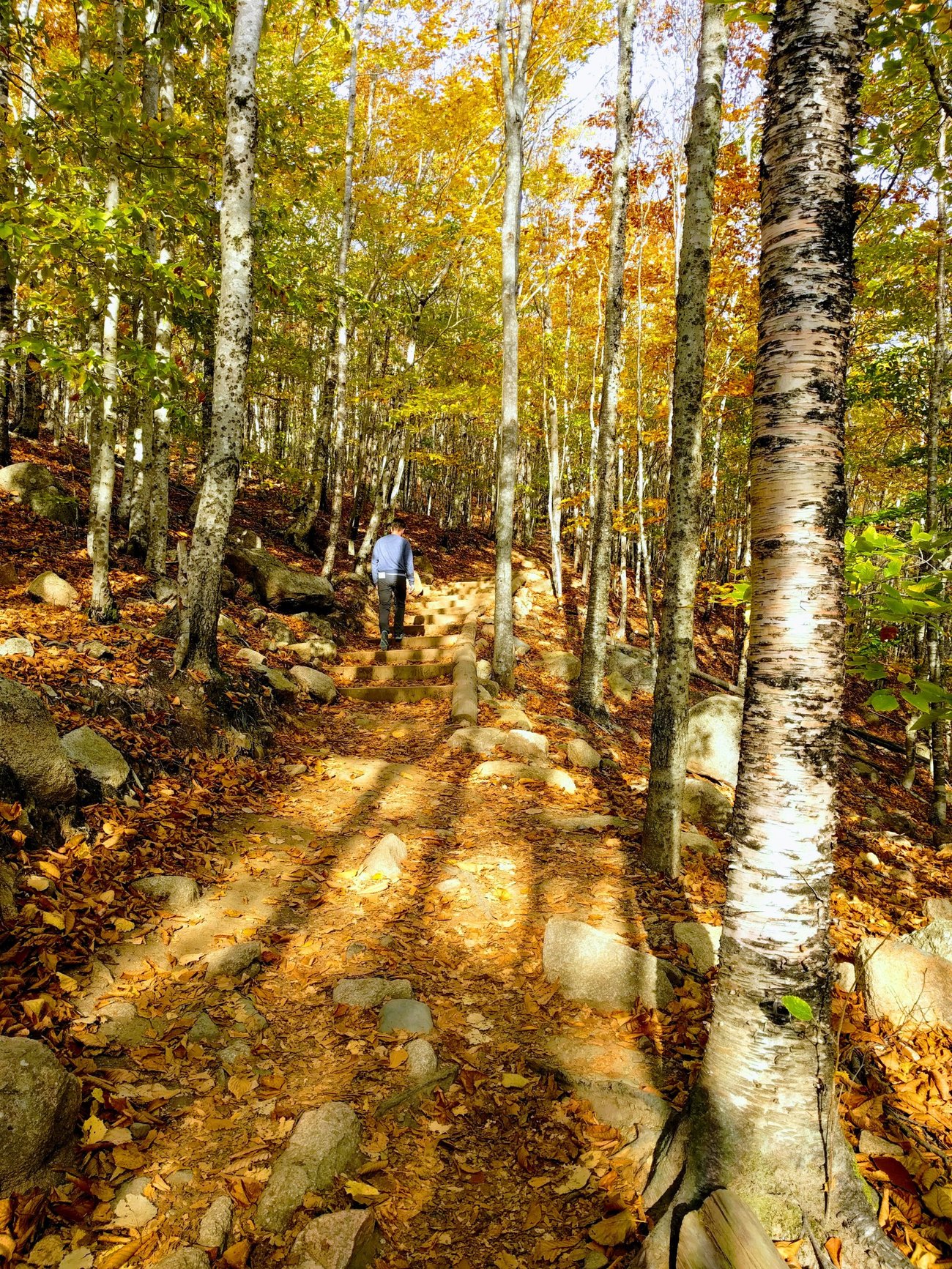 Acadia Climb