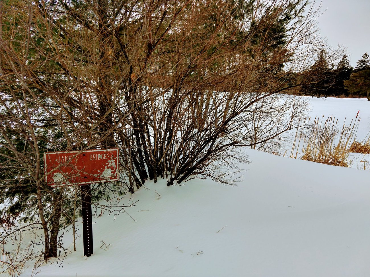 Snow Shoeing