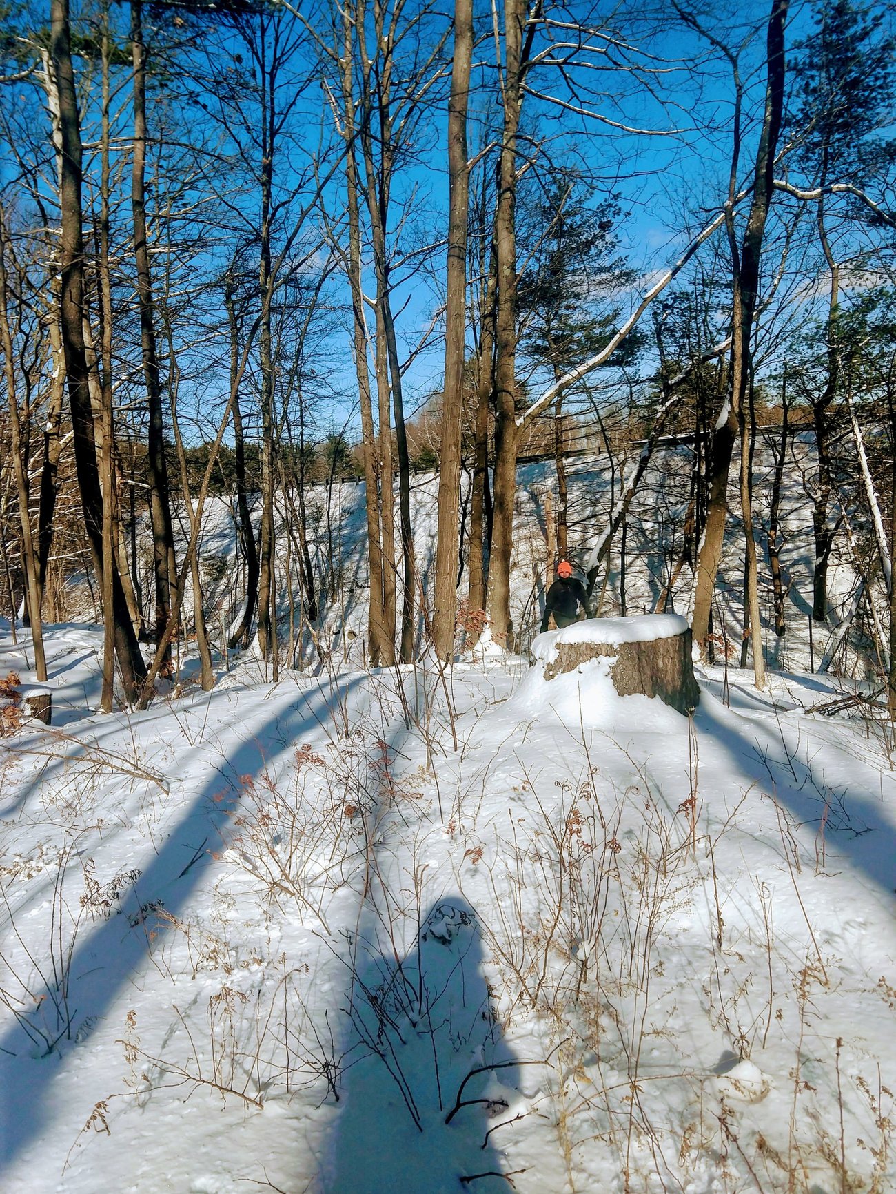 Snow Shoeing Shadow Woods