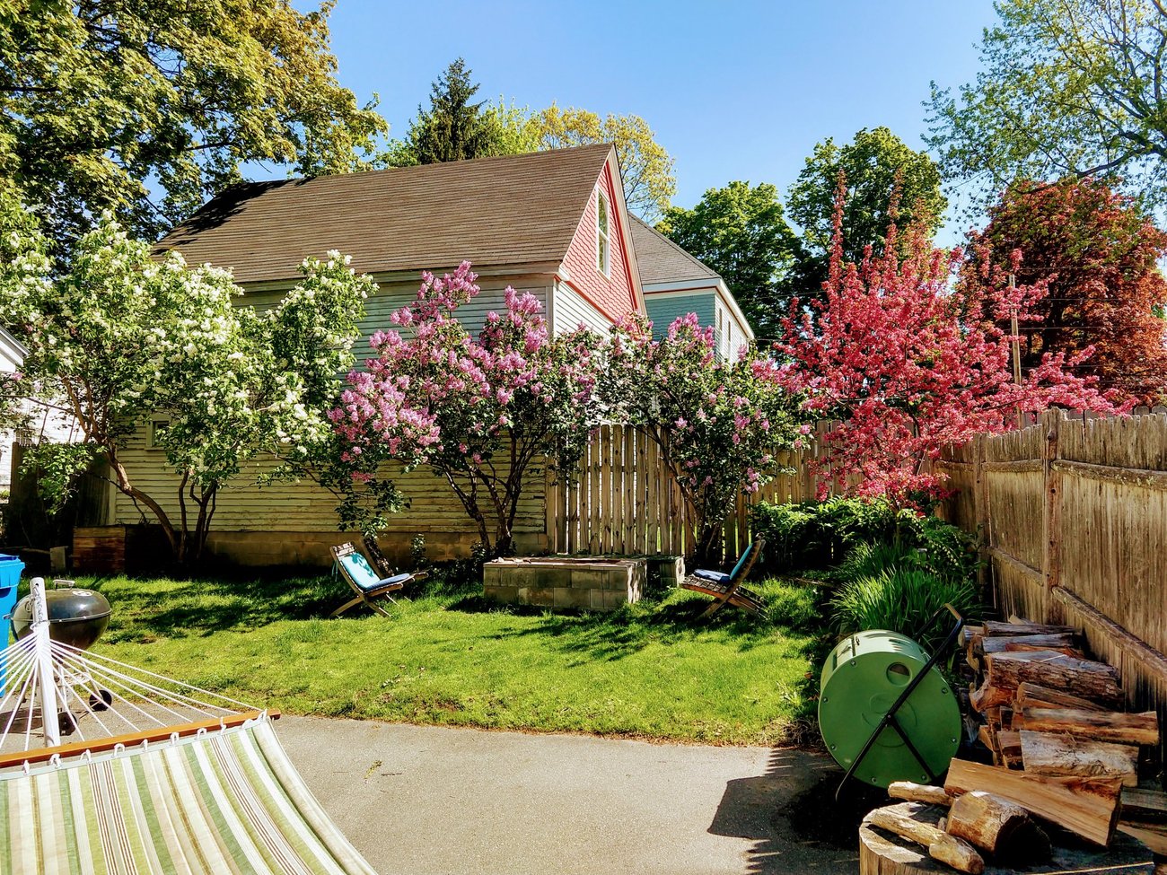 Spring Lilacs