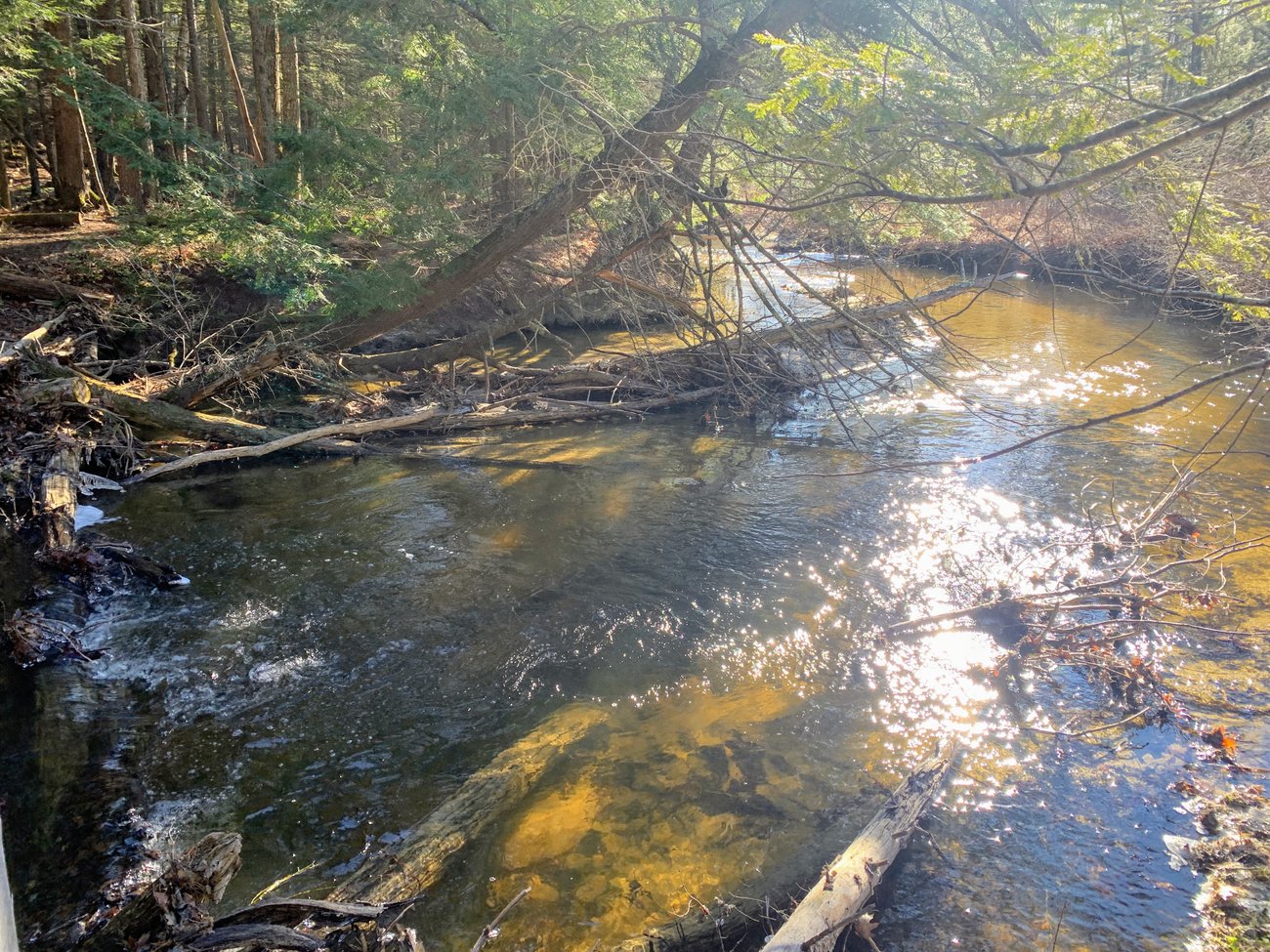 A River Bend