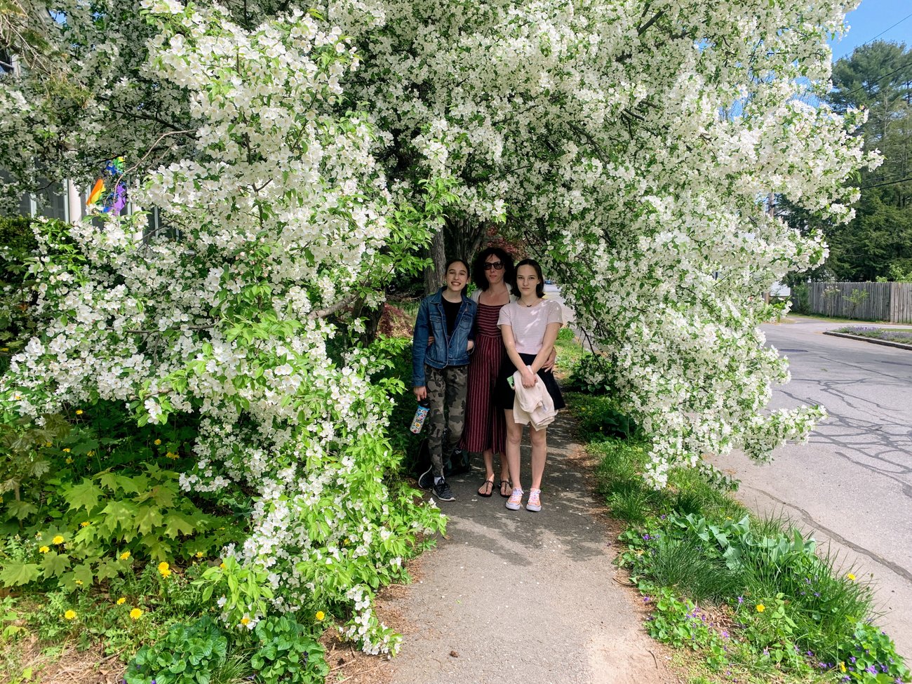 The Picture The Picture