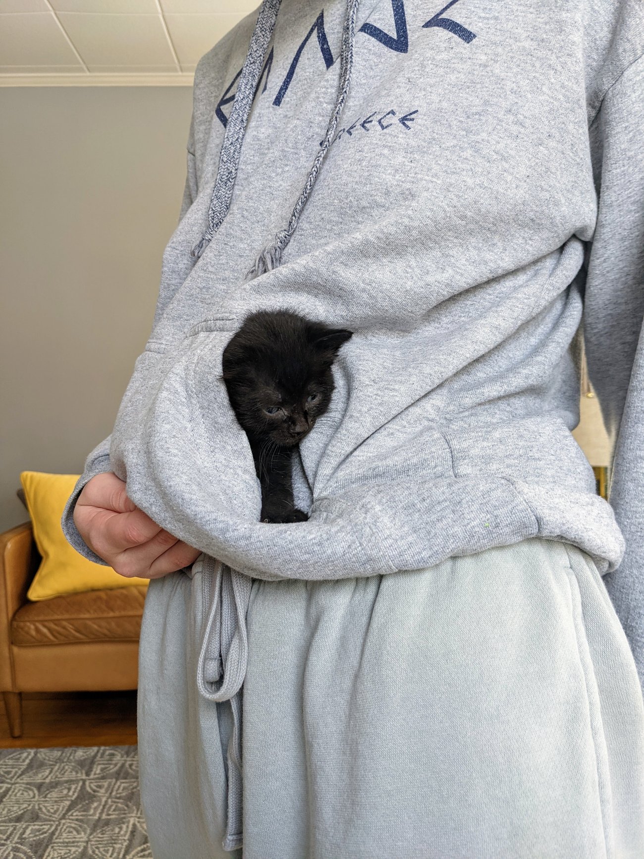 Kitten Pouch