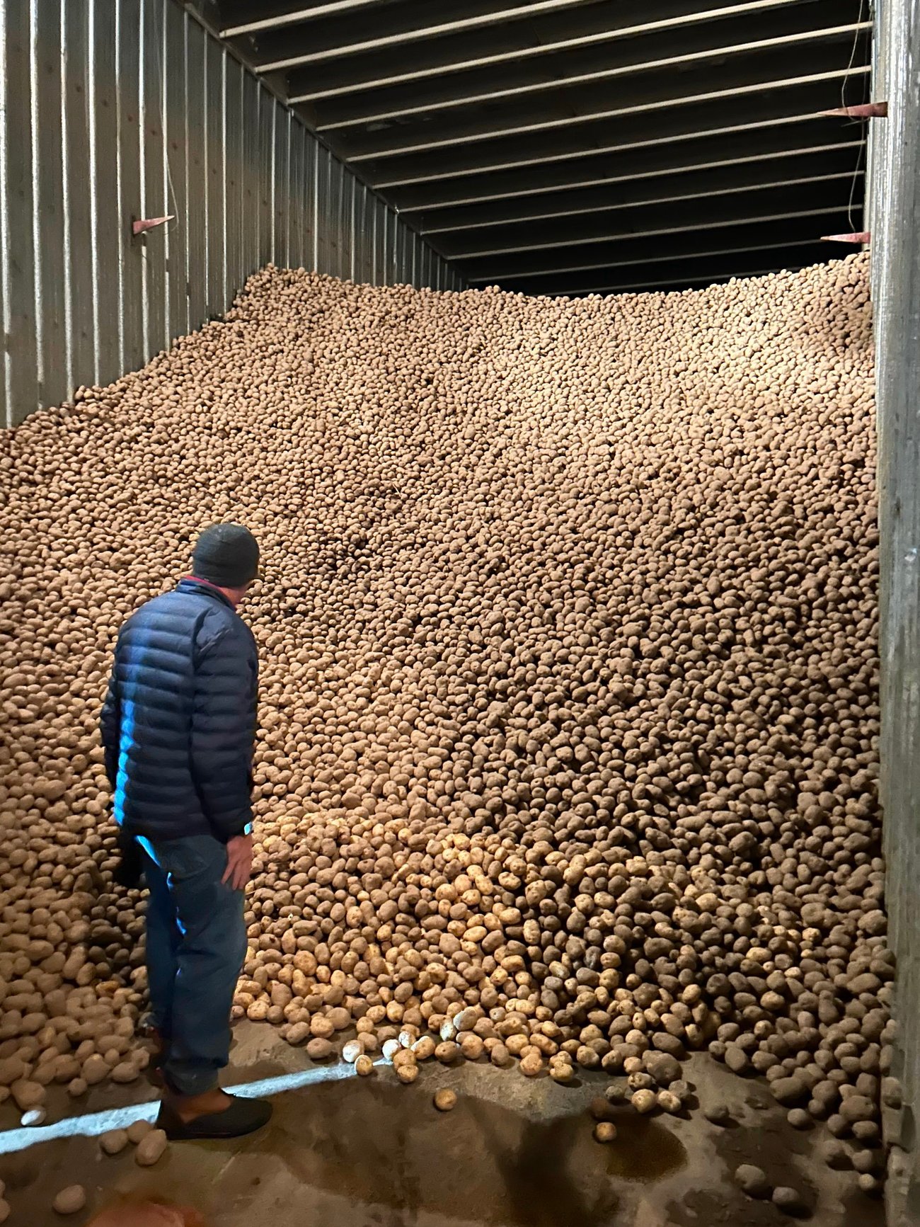 Potato Farm