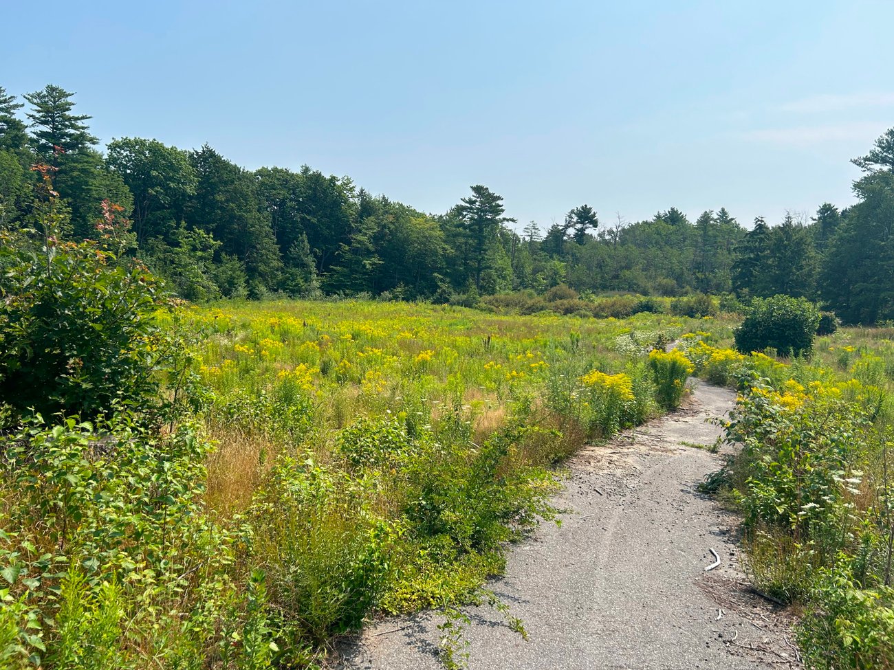 Sable Oaks Number 16 Sable Oaks Number 16