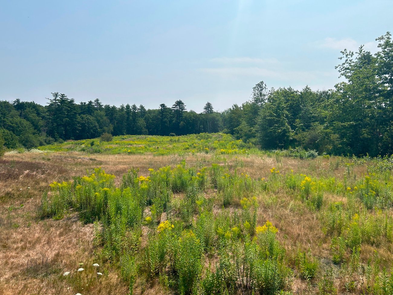 Sable Oaks Number 6 Sable Oaks Number 6