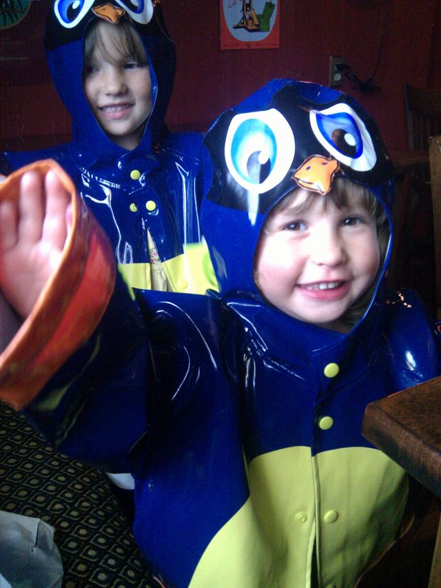 the joy of duck raincoats the joy of duck raincoats